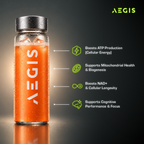 Aegis Pouch