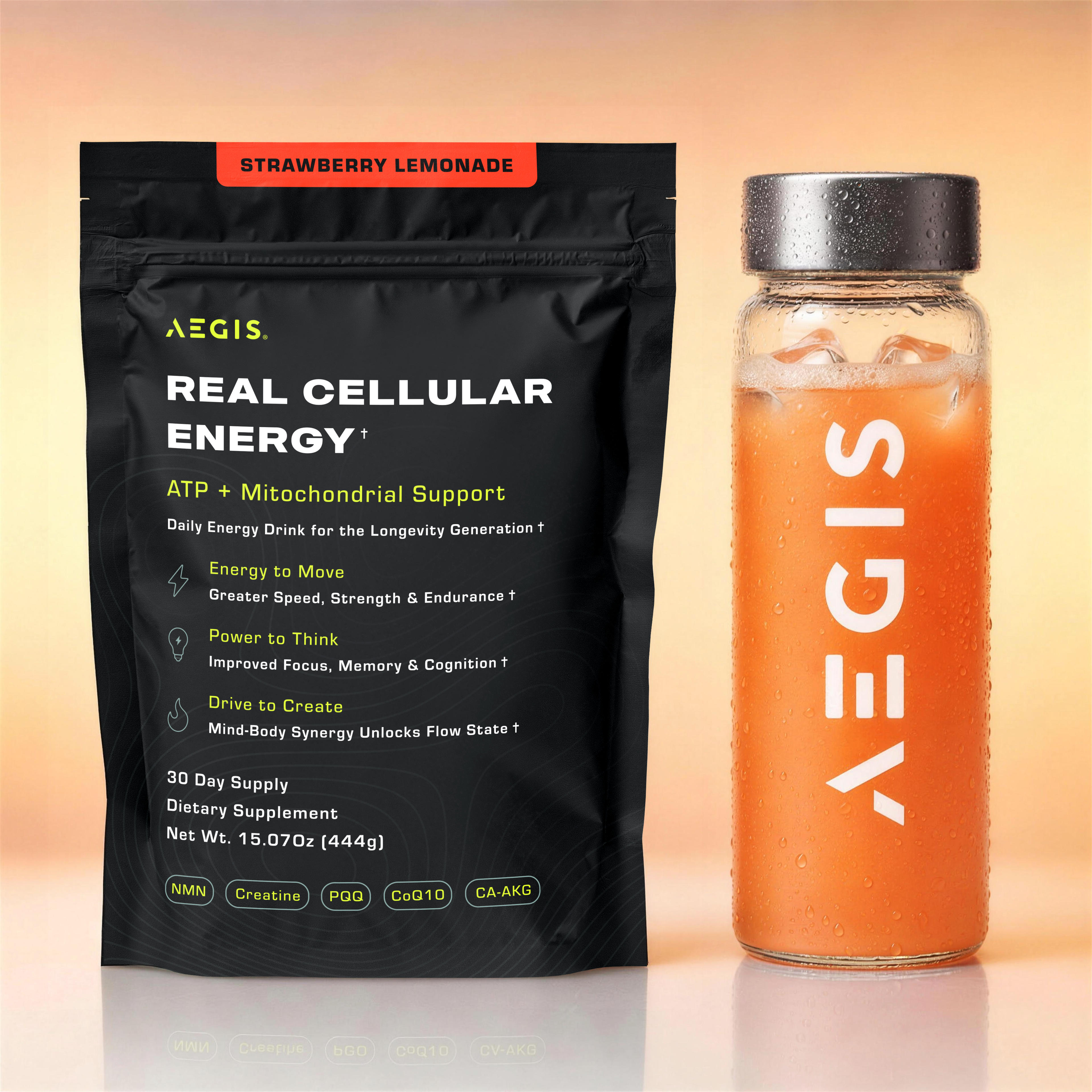 Aegis Pouch